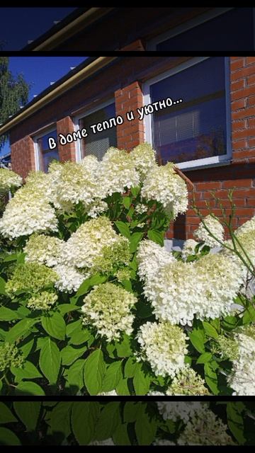 Доброе утро! смотреть онлайн