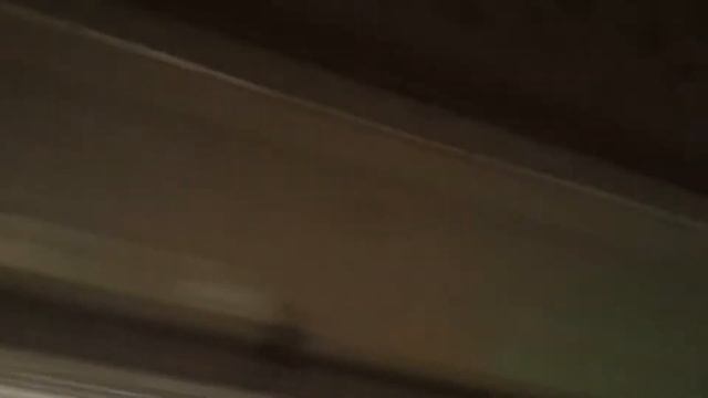 Приключения бурундуков смотреть онлайн