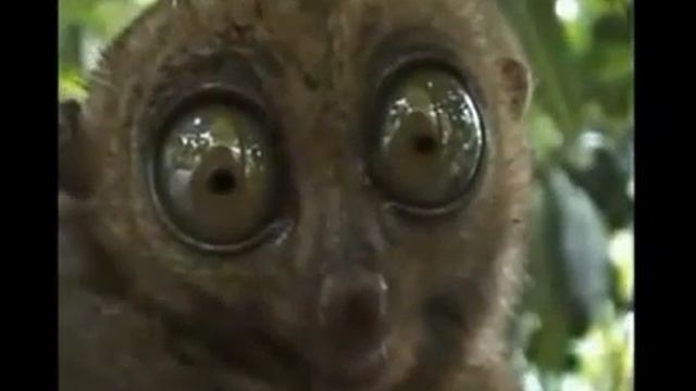 Ждем зарплату... смотреть онлайн