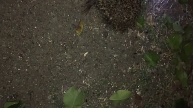 Ты куда идешь??? смотреть онлайн