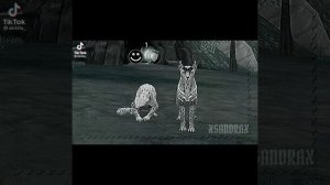 Подборка Тик Ток||Wild Craft||~3 часть~