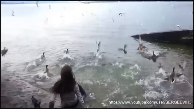 Epic Fail Compilation 2014 Лучшие приколы юмор 6 смотреть онлайн