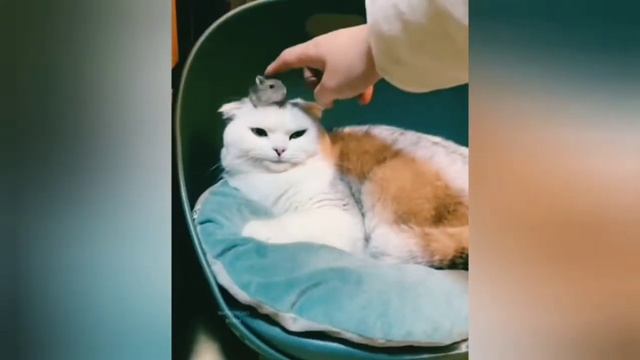 Лучшие приколы на Ютубе/Февраль 2021 смотреть онлайн