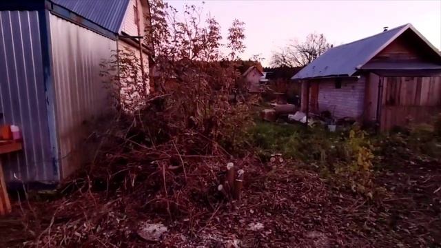 -2529500001337048931 смотреть онлайн