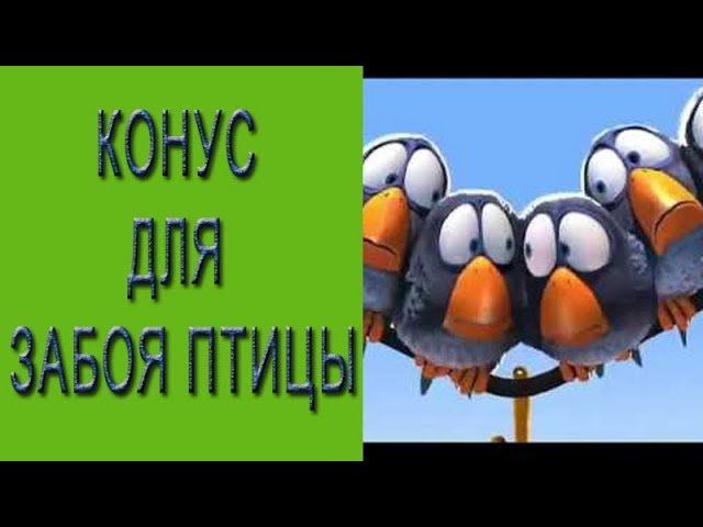 Конус для бройлера. Как сделать конус для забоя птицы? смотреть онлайн