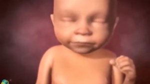 Беременность. Роды. Взгляд изнутри