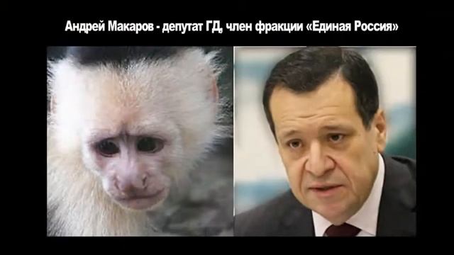 Приколы про политиков Юмор Забавные сходства смотреть онлайн