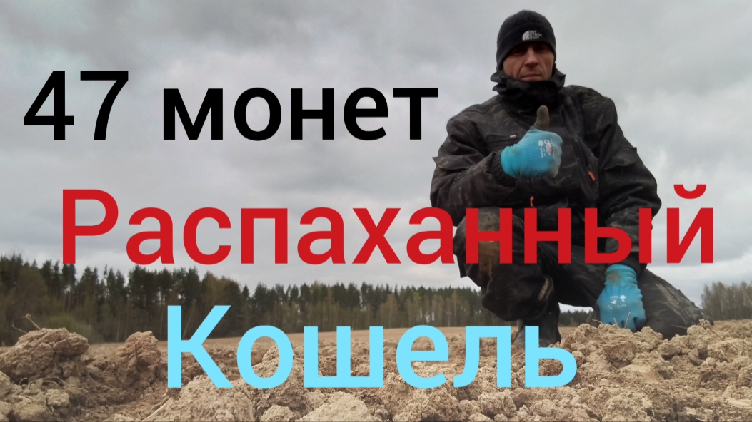 куча монет и разных находок смотреть онлайн