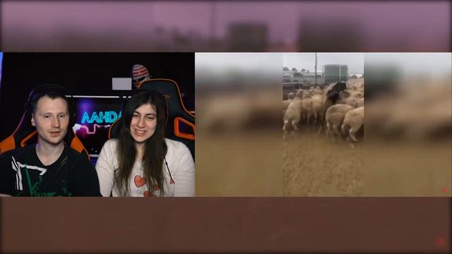 ЗАСМЕЯЛСЯ - ПОДПИСАЛСЯ!! ЛУЧШИЕ ПРИКОЛЫ 2020 ТЕСТ НА ПСИХИКУ УГАР - РЕАКЦИЯ на Союз смеха смотреть онлайн