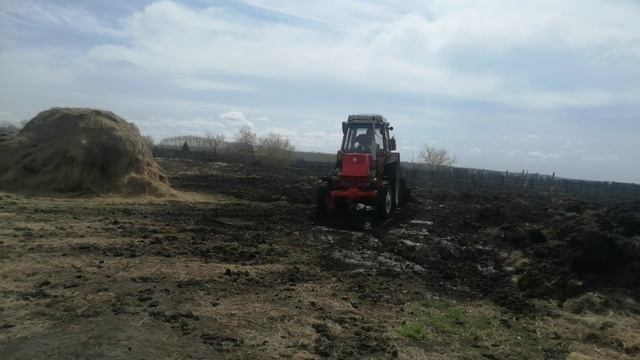 "3 в 1". (Т-40АМ с кабиной ЮМЗ, ЛТЗ-55А с ГОРу, Т-40АМ "СиДр"- все попали сегодня в кадр). смотреть онлайн