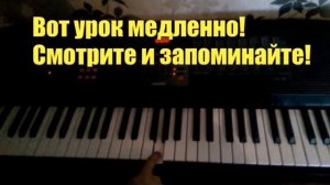 Два веселых гуся на пианино видеоурок в медленном темпе!