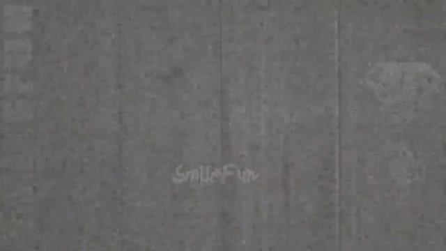 ПРИКОЛЫ ПРО КОТОВ И КОШЕК! ЧАСТЬ 29 | FUNNY CATS! PART 29 смотреть онлайн