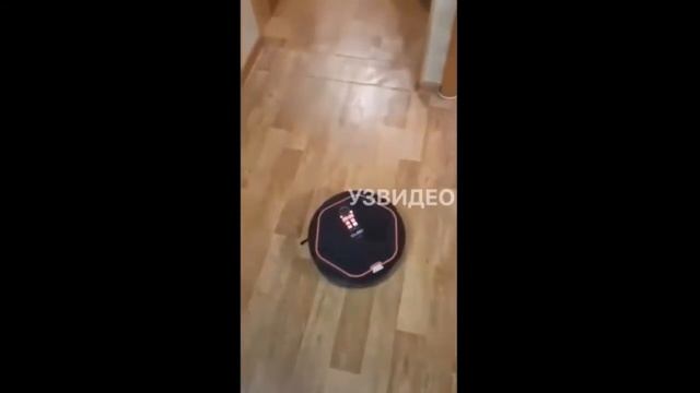 ЛУЧШИЕ ПРИКОЛЫ #4 смотреть онлайн
