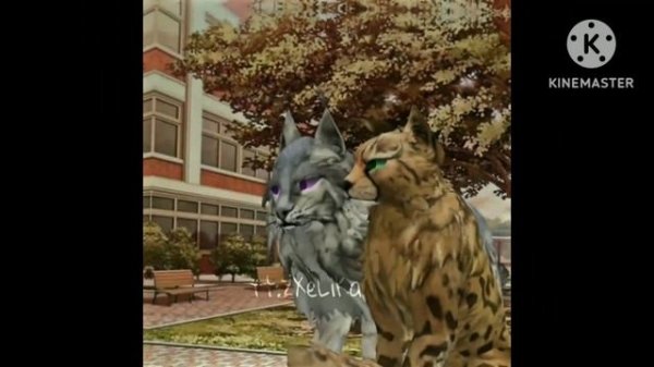 Вилд крафт Подборка Тик Ток |wild craft company #1|