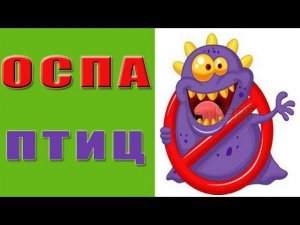 Оспа птиц.  Болезни кур оспа