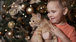 Детская песня "Рыжий кот ",Музыкальный театр Mandarin club(Мандарин клаб)