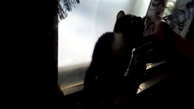 Дай пять смотреть онлайн