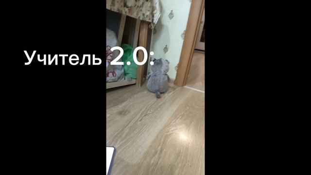 Вечером с Басиком. Что случилось!?