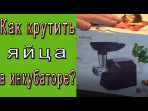 Как мясорубкой крутить яйца в инкубаторе?  Поворот яиц в инкубаторе