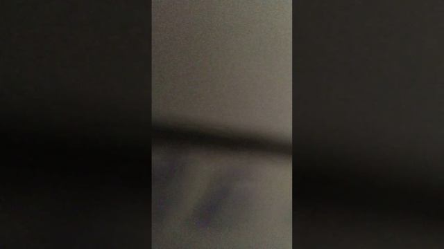Рита рисует хомячка выбор на-угад смотреть онлайн