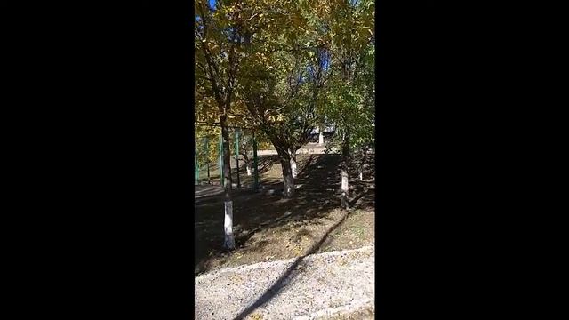 Защитник белок и гроза котов смотреть онлайн