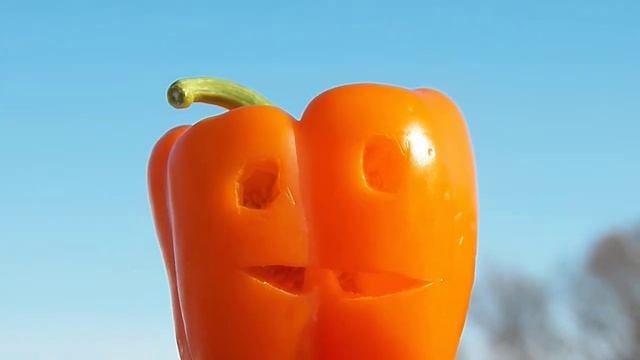 ПРИВЕТ КОЛЯ ОТ ПЕРЦА смотреть онлайн