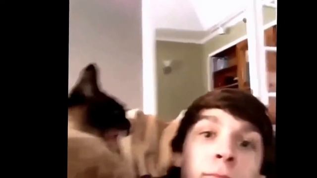 Подборка ВЗРОСЛЫХ приколов РЖАКА ЛУЧШИЕ ПРИКОЛЫ смотреть онлайн