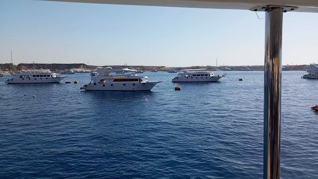 Египет апрель 2025. часть 3. Синайский полуостров. Яхта смотреть онлайн