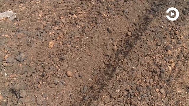 Заброшенные земли Пензенской области продолжат возвращать в севооборот смотреть онлайн