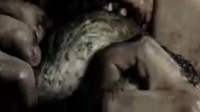 Прикол Шмыга (клип) смотреть онлайн