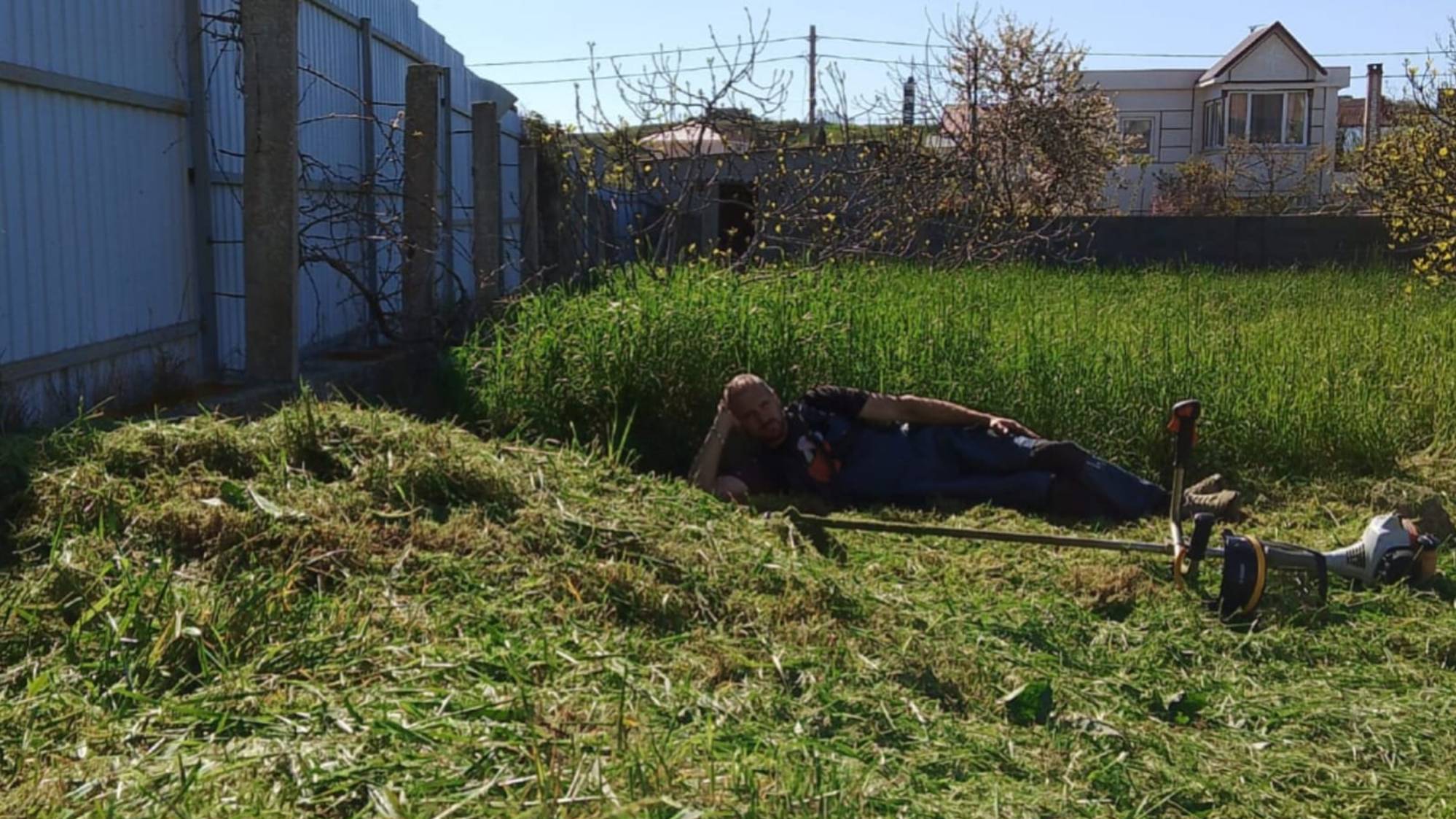 Покос травы смотреть онлайн