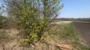 Продажа дома в Лопухинке