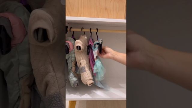 Организация пространства для собак