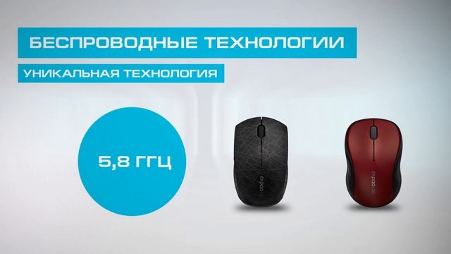 Видео презентация Rapoo смотреть онлайн