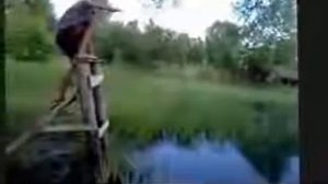 Деревенские приколы.  Ржачка