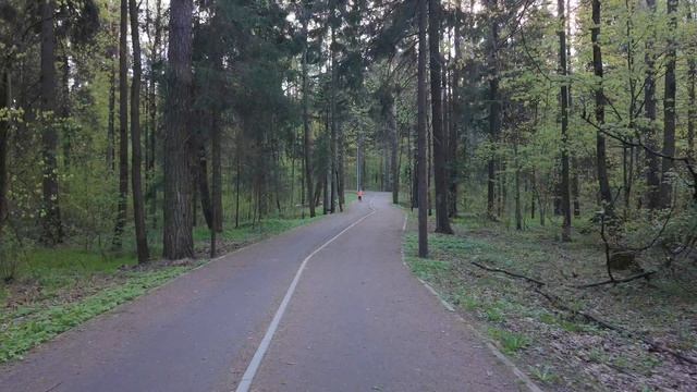 Мытищинский лесопарк. смотреть онлайн