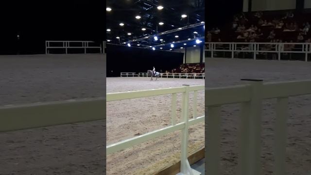 Открытие выставки Иппосфера 2018 смотреть онлайн