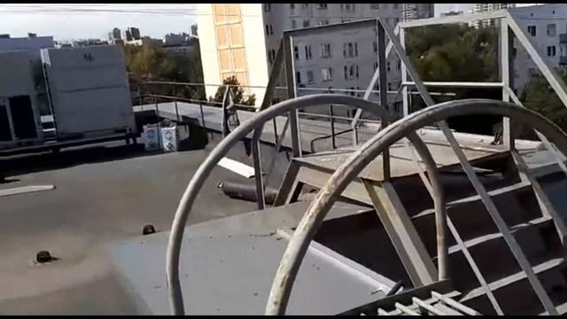 Марафон. Монтаж. Заключительный этап. смотреть онлайн