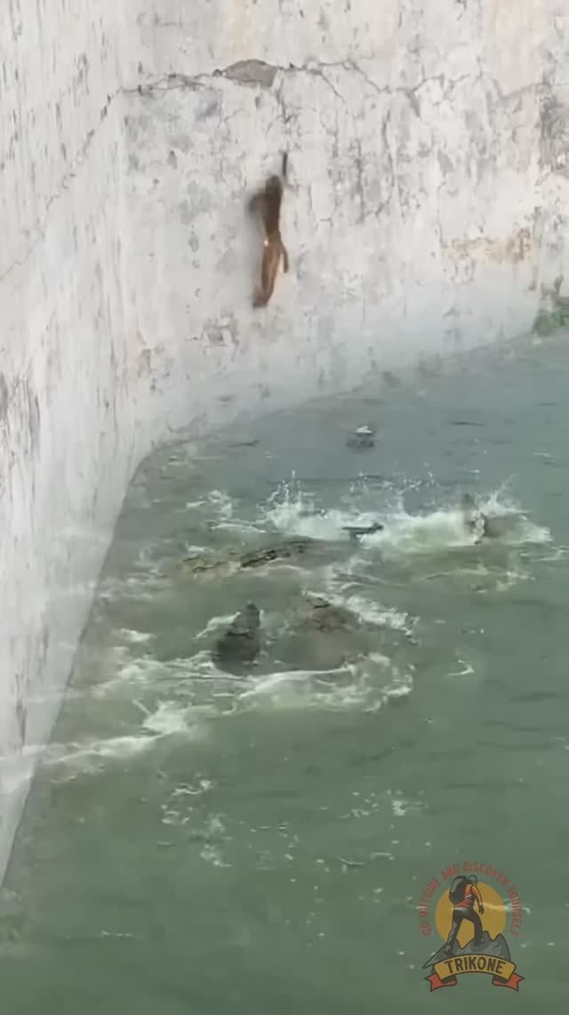 Жить очень хочется...#лучшие видео#видео#видео бесплатно#смотреть видео#видео онлайн смотреть онлайн