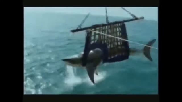 ПРИКОЛЫ НА РЫБАЛКЕ Самые смешные приколы ИЮНЬ 2016 ¦ Выпуск 1 смотреть онлайн