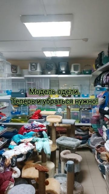 #recommendations #одеждадлясобак #буднизоомагазина #зоомагазин