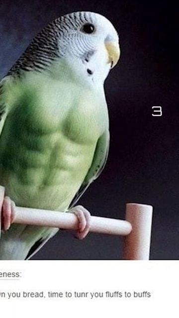 Невероятные открытия: 5 фактов, которые вы пропустили смотреть онлайн