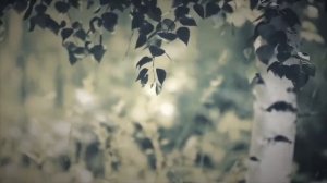 Константин Симонов Родина читает Михаил Артюшкин, 8лет #Родина #Симонов #Победа