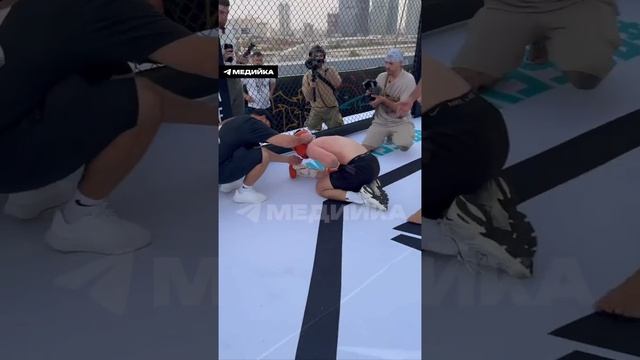 бой Хамзат vs Литвин #литвин #Хамзат #спорт #мма #ахмед #венгалби #тамаев #юмор смотреть онлайн