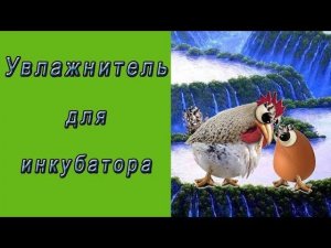 Как сделать увлажнение в инкубаторе, быстро своими руками