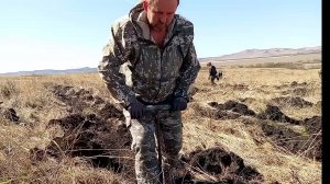 Зачем нам голштин в стаде/Посадили деревья/И снова свалка