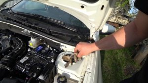 Мою двигатель с подкапоткой на новой Лада Гранта