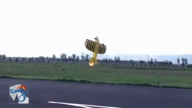 Большая пчела Grosse Biene aller erste Flugaufnahmen смотреть онлайн