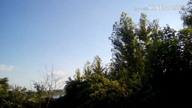 Vlog/ОТПУСК/ДЕНЬ МОЛОДЁЖИ/ВИКА МАРКЕЛОВА смотреть онлайн