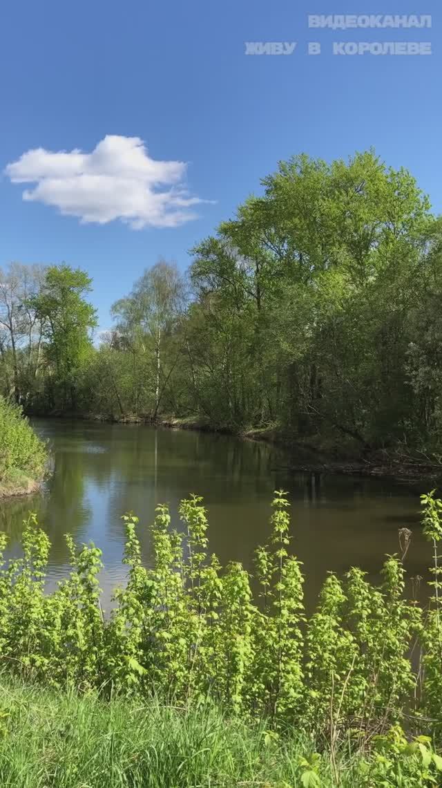 Река Клязьма у 3 корпуса ЖК Ривер Парк г.Королев смотреть онлайн